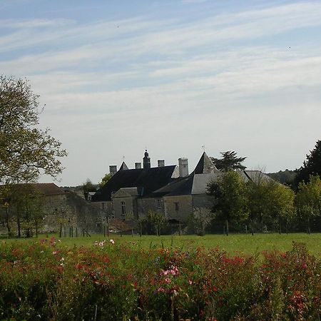 Chateau De La Noblaye Bed and Breakfast Lemere Buitenkant foto