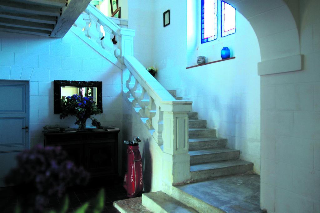 Chateau De La Noblaye Bed and Breakfast Lemere Buitenkant foto