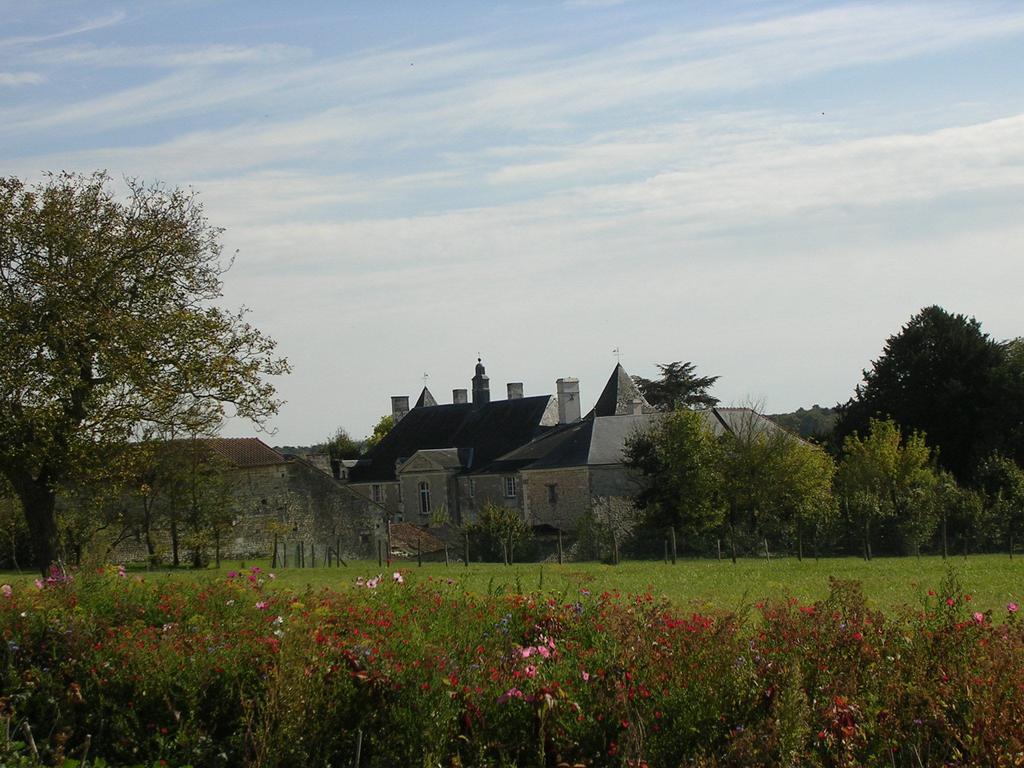 Chateau De La Noblaye Bed and Breakfast Lemere Buitenkant foto