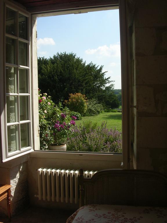 Chateau De La Noblaye Bed and Breakfast Lemere Buitenkant foto