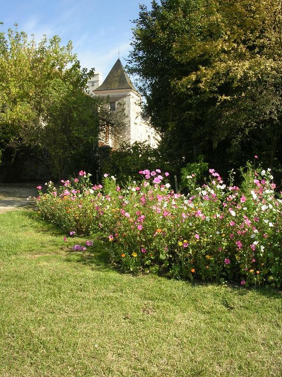 Chateau De La Noblaye Bed and Breakfast Lemere Buitenkant foto