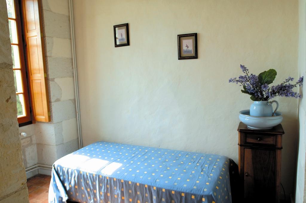 Chateau De La Noblaye Bed and Breakfast Lemere Buitenkant foto